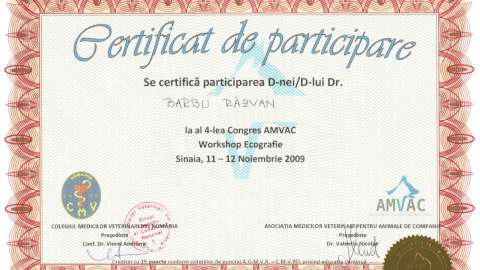 AMVAC 2009