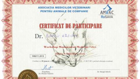 AMVAC 2012 2