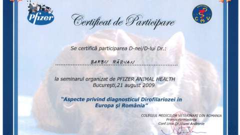 Seminar diagnostic Dirofilarioza 2009